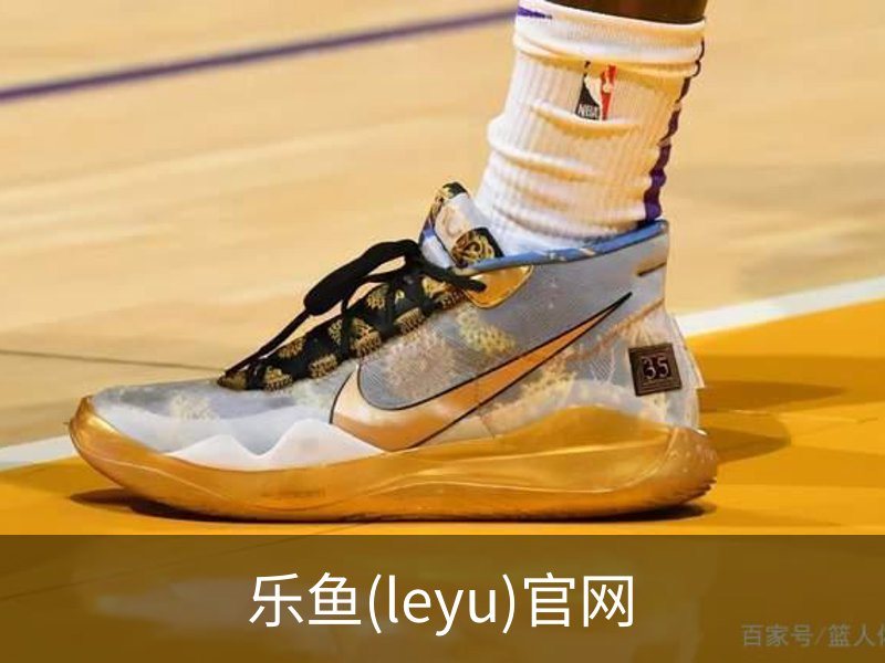 乐鱼(leyu)官网简介